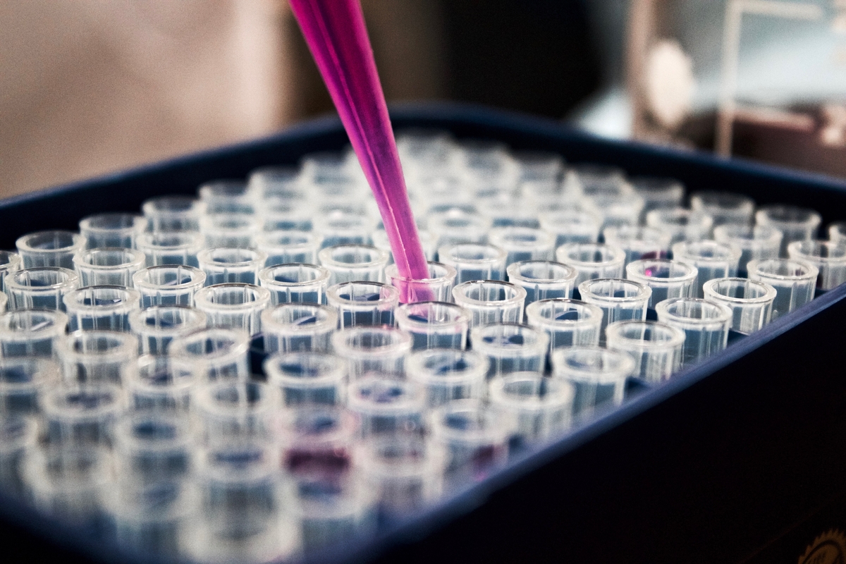 Researcher pipetting samples at a laboratory bench